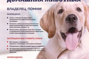 ������� ������ �������� ��������