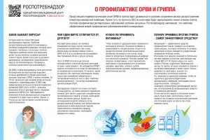 Пять правил по профилактике гриппа Пять правил по профилактике гриппа